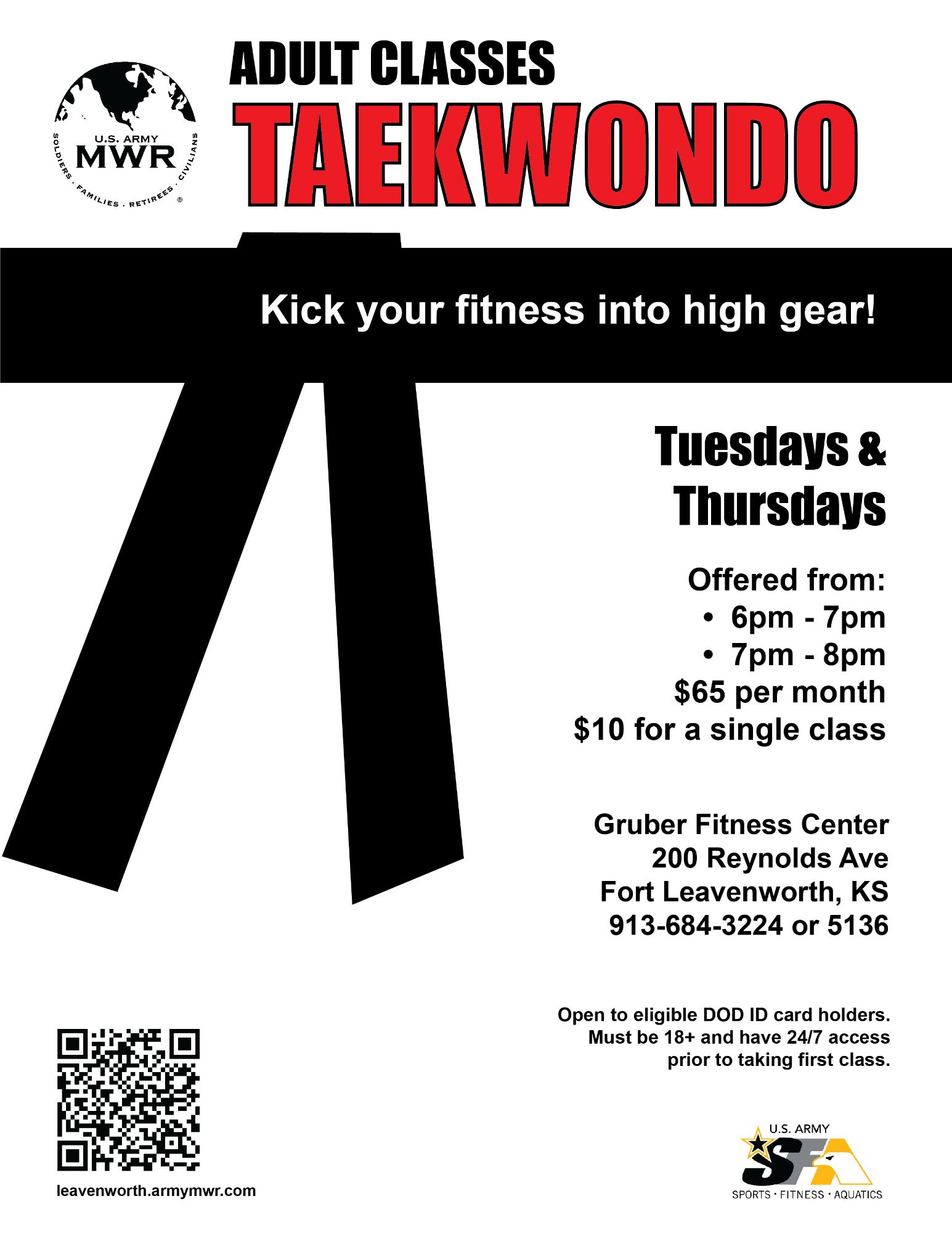 Adult Tae Kwon Do 2025-01.jpg